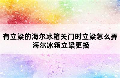 有立梁的海尔冰箱关门时立梁怎么弄 海尔冰箱立梁更换